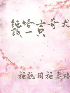 纯哈士奇犬多少钱一只