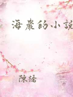 海岩的小说