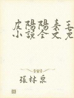 皮阳阳秦玉洁的小说全文免费阅读