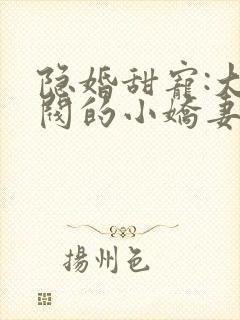 隐婚甜宠:大财阀的小娇妻