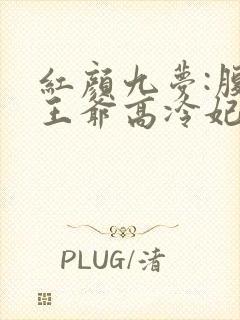 红颜九梦:腹黑王爷高冷妃