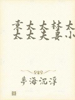 袁太太林太太李太太夫妻小说