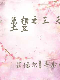 万相之王 天蚕土豆