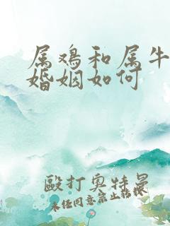 属鸡和属牛相配婚姻如何