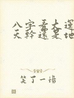 八字看大运是看天干还是地支