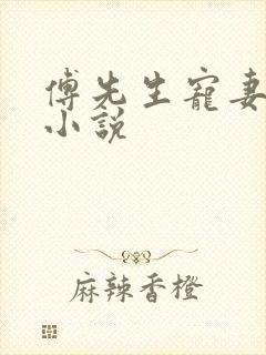 傅先生宠妻无度小说