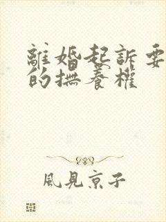 离婚起诉要孩子的抚养权