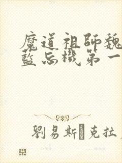 魔道祖师魏无羡蓝忘机第一次
