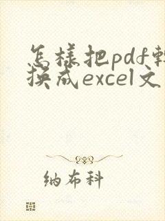 怎样把pdf转换成excel文档