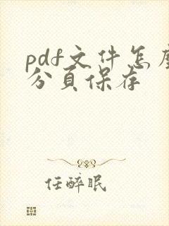 pdf文件怎么分页保存