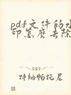 pdf文件的水印怎么去除