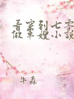 看穿到七零年代做军嫂小说