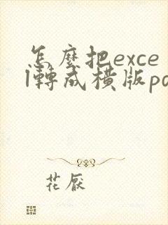 怎么把excel转成横版pdf
