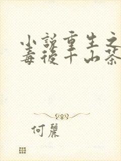 小说重生之将门毒后千山茶客外传
