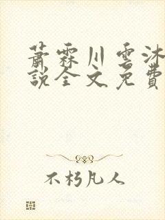 萧霖川云沐芷小说全文免费阅读最新章节