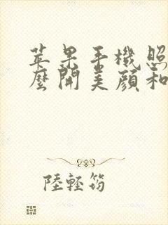 苹果手机照相怎么开美颜和滤镜