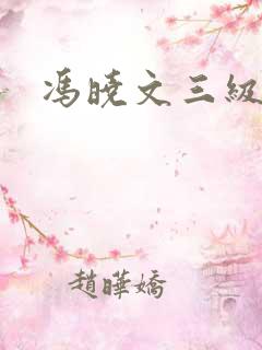 冯晓文三级