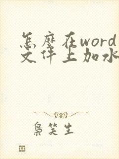 怎么在word文件上加水印