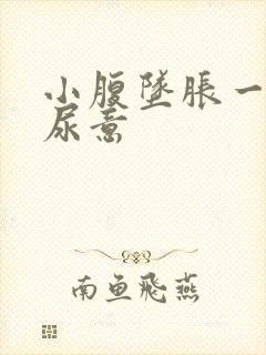 小腹坠胀一直有尿意