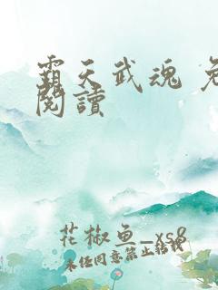 霸天武魂 免费阅读