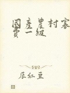 国产农村寡妇免费一级