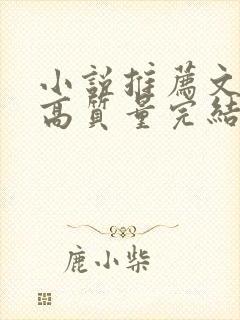 小说推荐文笔好高质量完结言情