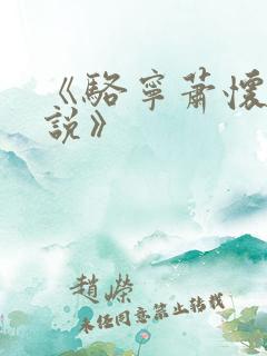 《骆宁萧怀沣小说》