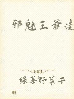 邪魅王爷淡定妃