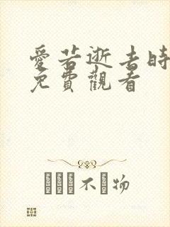 爱若逝去时短剧免费观看