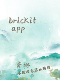 brickit app