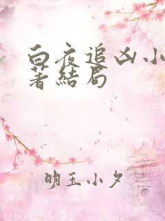 白夜追凶小说原著结局