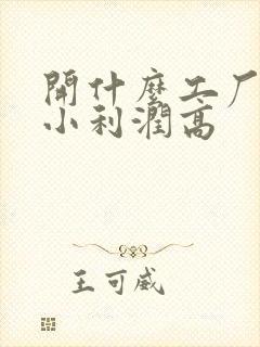 开什么工厂投资小利润高