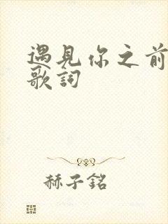 遇见你之前的我歌词
