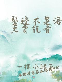 鬓边不是海棠红免费观看