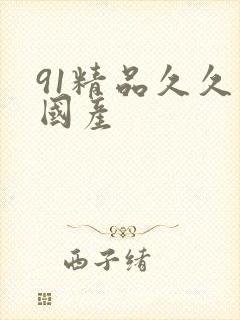 91精品久久久国产