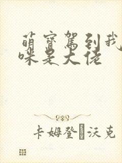 萌宝驾到我的妈咪是大佬