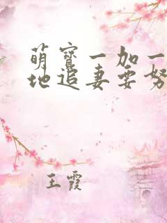 萌宝一加一:爹地追妻要努力小说txt