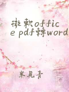 微软office pdf转word