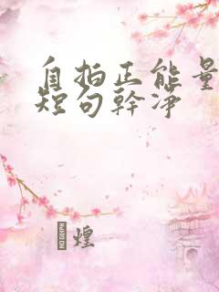 自拍正能量文案短句干净