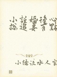 小说婚后心动凌总追妻有点甜免费阅读