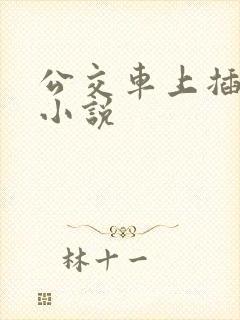 公交车上插进去小说