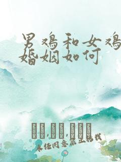 男鸡和女鸡相配婚姻如何