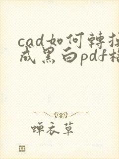 cad如何转换成黑白pdf格式