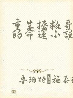 重生拯救哥哥们的命运小说免费看