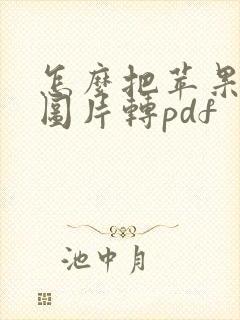 怎么把苹果扫描图片转pdf