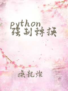 python 强制转换