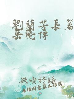 刘兰芳长篇评书岳飞传