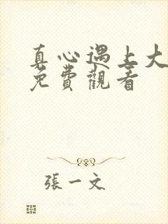 真心遇上大冒险免费观看