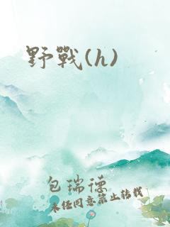 野战(h)