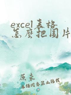 excel表格怎么把图片中的文字提取出来